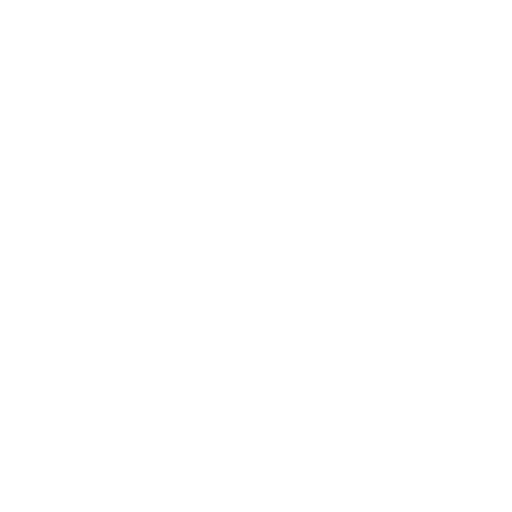 Explore the LSSTF25 Recap